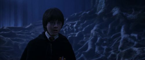 PF-Potterish_09122.jpg