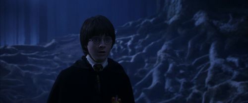 PF-Potterish_09123.jpg
