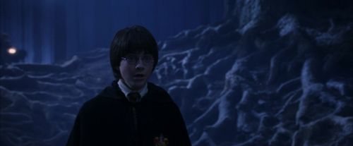 PF-Potterish_09124.jpg
