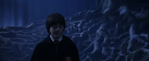 PF-Potterish_09125.jpg