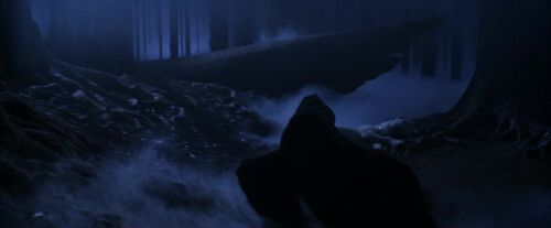 PF-Potterish_09126.jpg