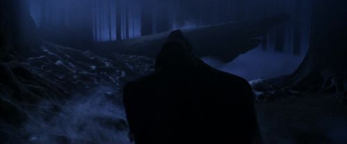 PF-Potterish_09127.jpg