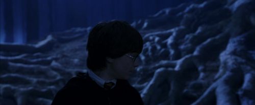 PF-Potterish_09134.jpg
