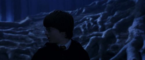 PF-Potterish_09135.jpg