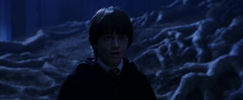 PF-Potterish_09139.jpg