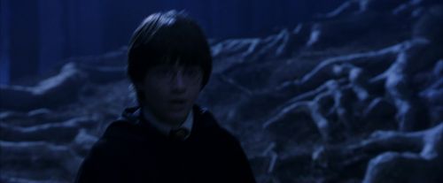 PF-Potterish_09141.jpg
