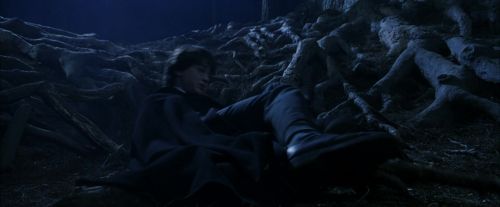 PF-Potterish_09143.jpg