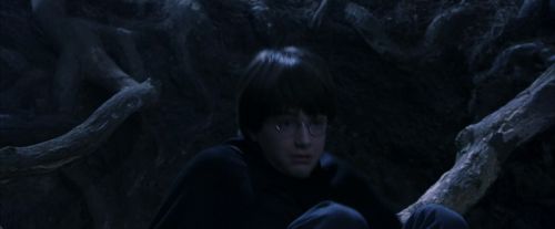 PF-Potterish_09144.jpg