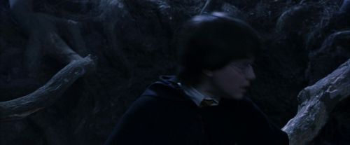 Click to view full size image
==============
PF-Potterish_09145.jpg PF-Potterish_09145.jpg