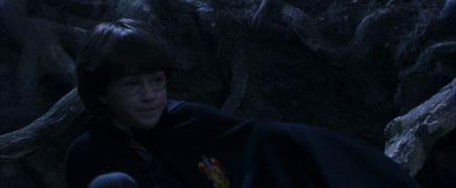PF-Potterish_09146.jpg