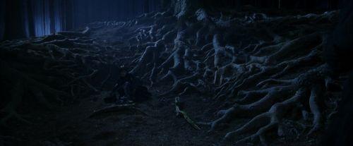 PF-Potterish_09147.jpg