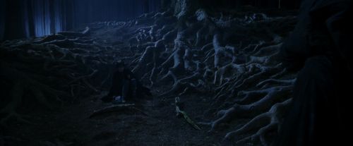 PF-Potterish_09148.jpg