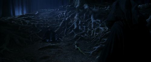 PF-Potterish_09149.jpg