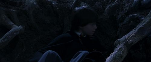 PF-Potterish_09152.jpg