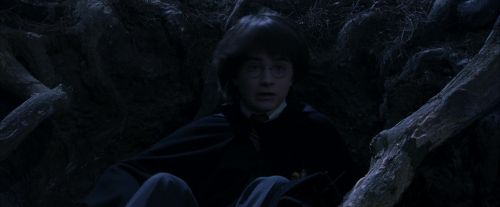 PF-Potterish_09153.jpg
