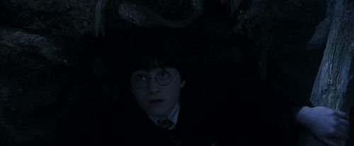 PF-Potterish_09159.jpg