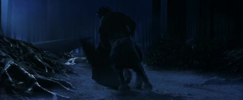 PF-Potterish_09161.jpg