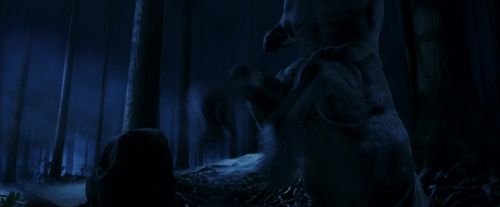PF-Potterish_09164.jpg