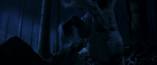 PF-Potterish_09165.jpg