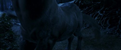 PF-Potterish_09166.jpg