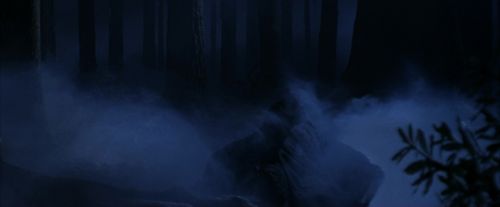 PF-Potterish_09168.jpg