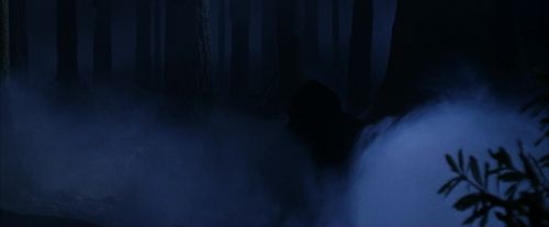 PF-Potterish_09169.jpg