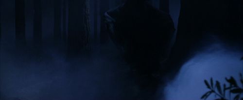 PF-Potterish_09170.jpg