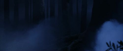 PF-Potterish_09171.jpg