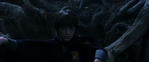 PF-Potterish_09173.jpg
