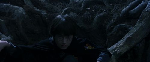 Click to view full size image
==============
PF-Potterish_09174.jpg PF-Potterish_09174.jpg