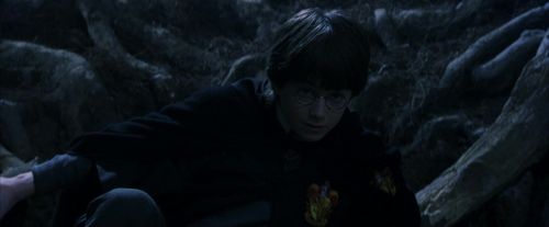 PF-Potterish_09175.jpg
