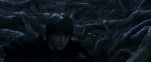 Click to view full size image
==============
PF-Potterish_09176.jpg PF-Potterish_09176.jpg