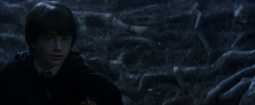 PF-Potterish_09177.jpg