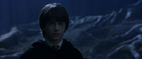 PF-Potterish_09181.jpg
