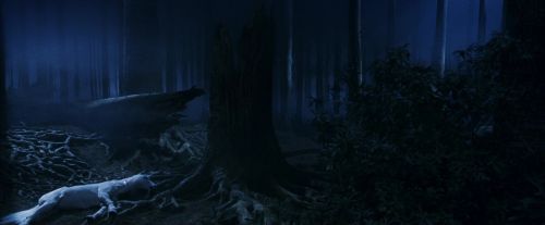 PF-Potterish_09186.jpg