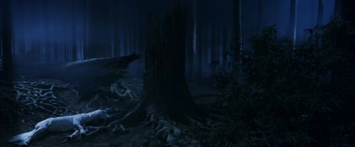 Click to view full size image
==============
PF-Potterish_09187.jpg PF-Potterish_09187.jpg