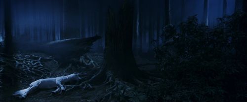 PF-Potterish_09188.jpg