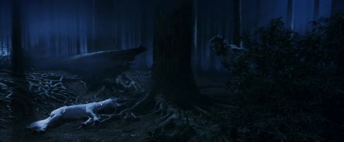 PF-Potterish_09189.jpg