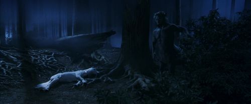 PF-Potterish_09191.jpg