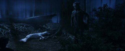 Click to view full size image
==============
PF-Potterish_09193.jpg PF-Potterish_09193.jpg