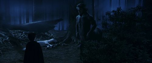PF-Potterish_09198.jpg