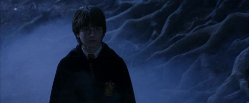 PF-Potterish_09199.jpg