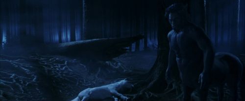 Click to view full size image
==============
PF-Potterish_09215.jpg PF-Potterish_09215.jpg