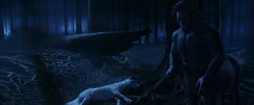 PF-Potterish_09217.jpg