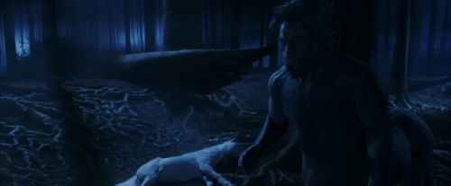 PF-Potterish_09219.jpg