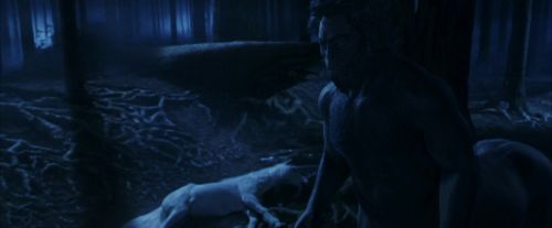 PF-Potterish_09221.jpg