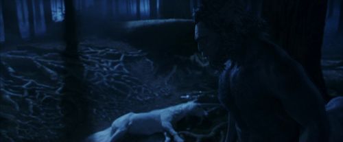 PF-Potterish_09223.jpg