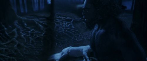 Click to view full size image
==============
PF-Potterish_09225.jpg PF-Potterish_09225.jpg