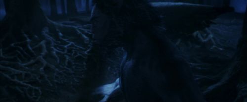 PF-Potterish_09226.jpg