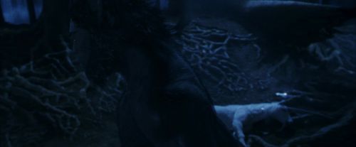 PF-Potterish_09227.jpg